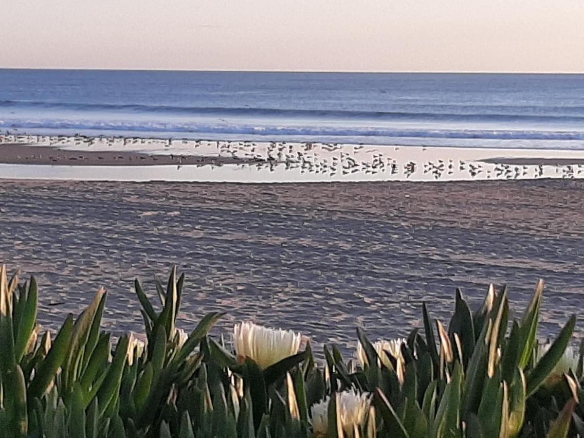 Apartmán Av. 1º De Maio Costa de Caparica Exteriér fotografie